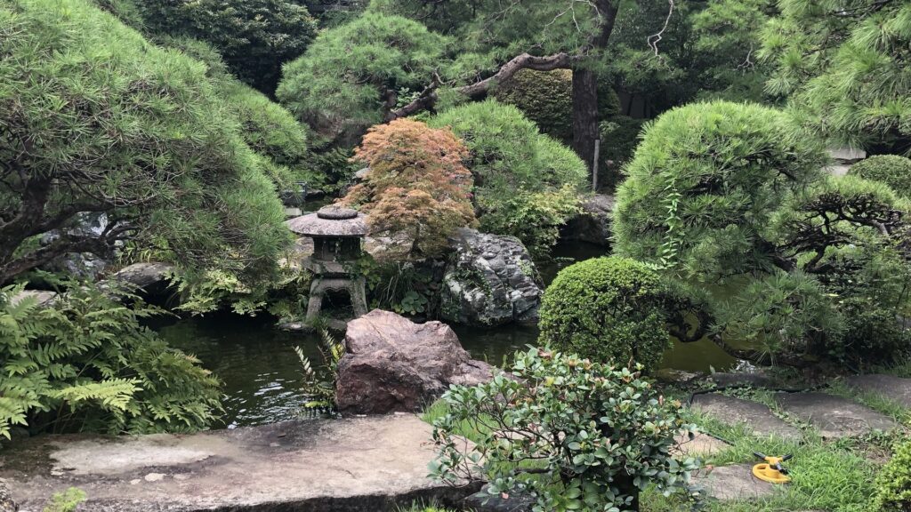 Giardino giapponese nel verde di inizio estate