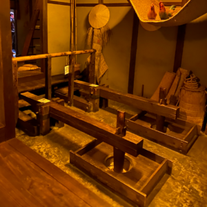 Musei e cultura