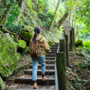 Trekking