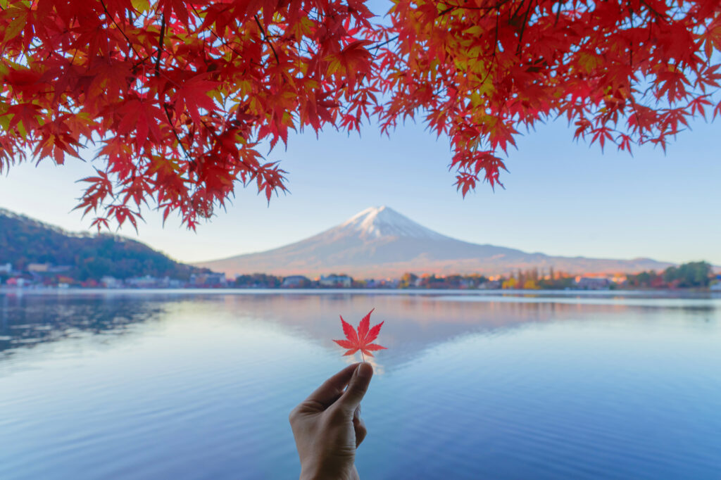 Aceri rossi nel foliage autunnale giapponese