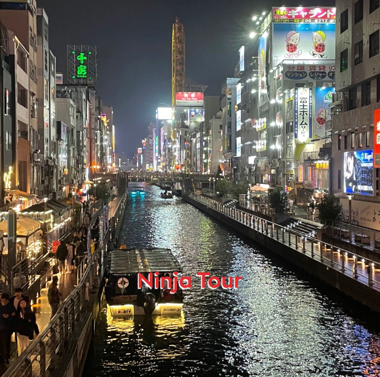 Le insegne luminose di Dotonbori a Osaka