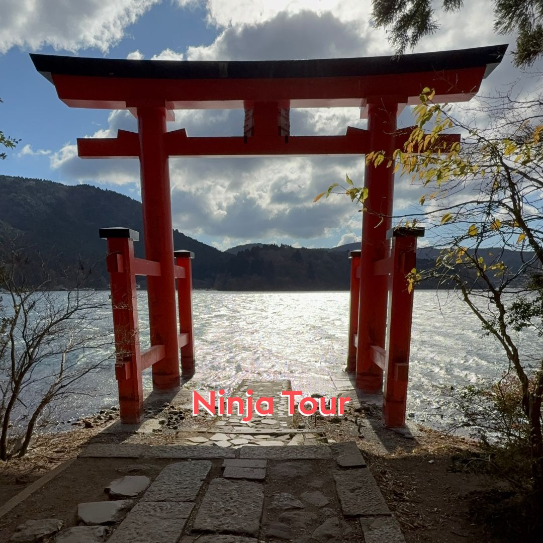 Torii con il Monte Fuji sullo sfondo