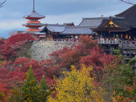 Japan Foliage Fast – 10 Giorni / 7 Notti – Ottobre – Novembre 2026 – a partire da 2.730 €