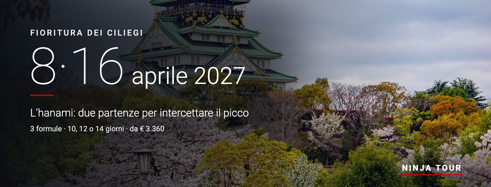 Fioritura dei Ciliegi &ndash; partenze 8 e 16 aprile 2027, l&rsquo;hanami