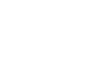 Ninja Tour